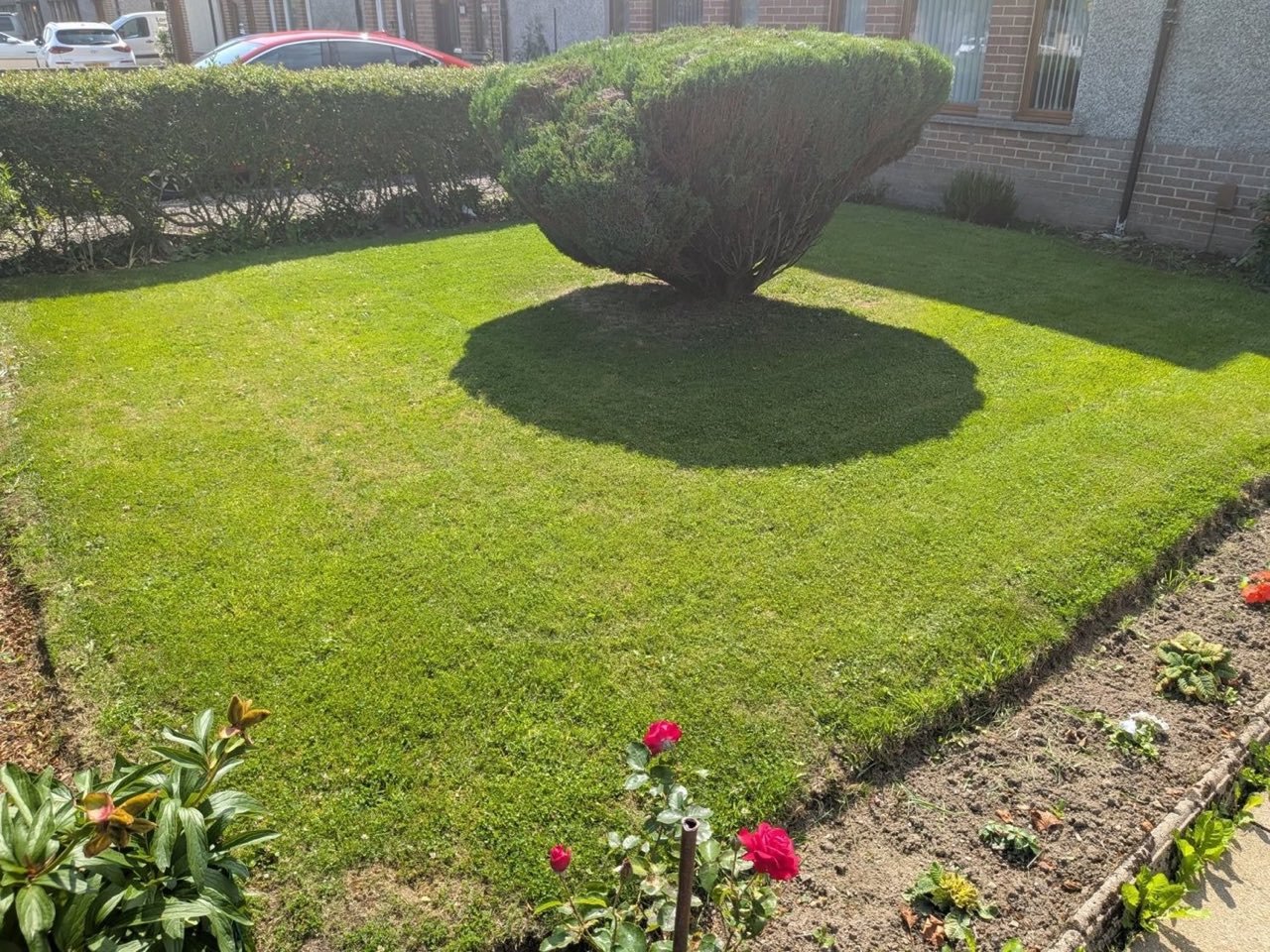 Tidy trimmed grounds finished by SA Lawn and Grounds in Aberdeen