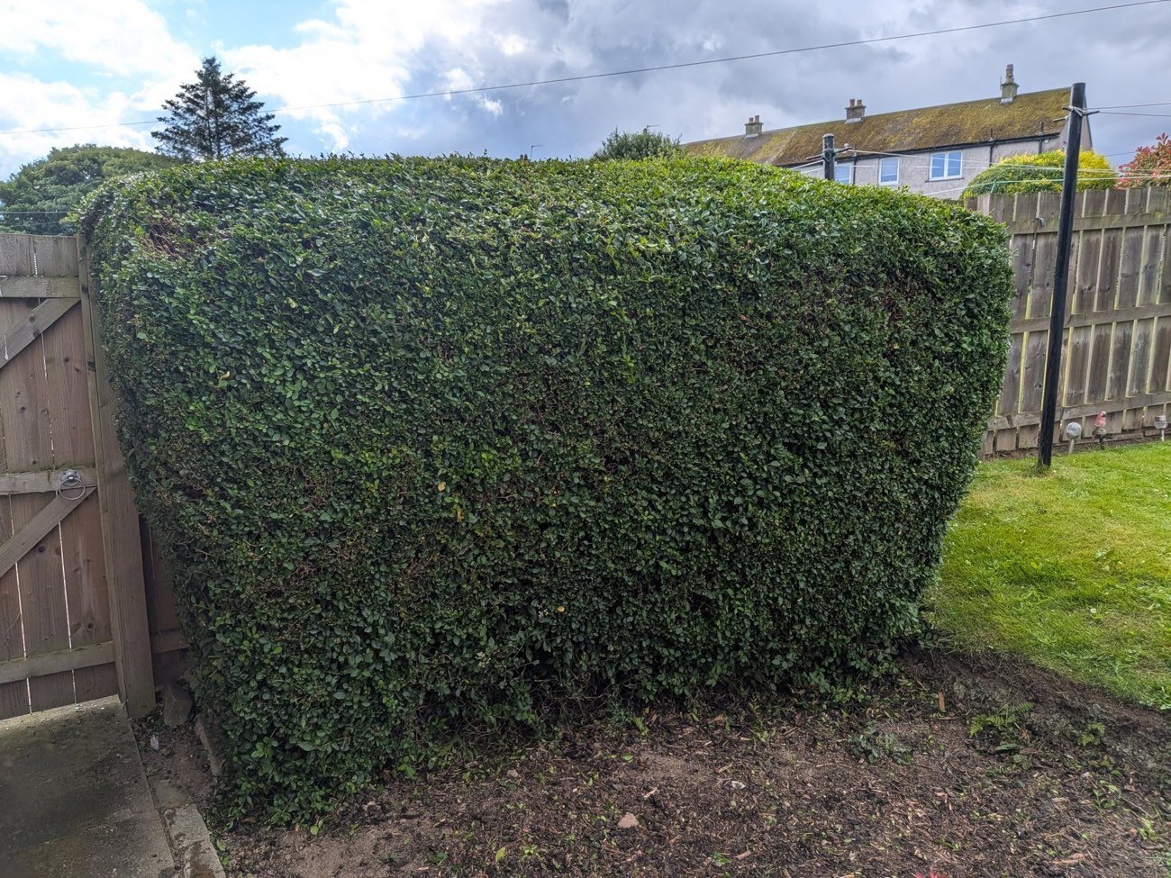 The same garden neatly cut and cleared after SA Lawn and Grounds