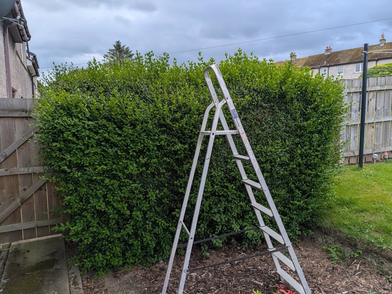 Overgrown garden before SA Lawn and Grounds tidied it in Aberdeenshire