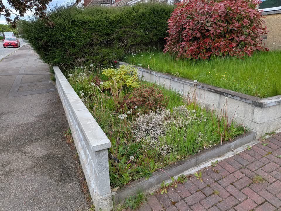 Weedy, overgrown front garden beds in Aberdeen before weed control by SA Lawn and Grounds