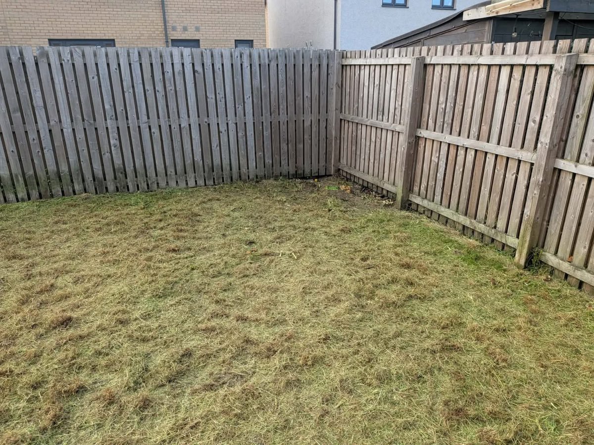 The same garden cleared and cut back to a neat, level lawn after SA Lawn and Grounds