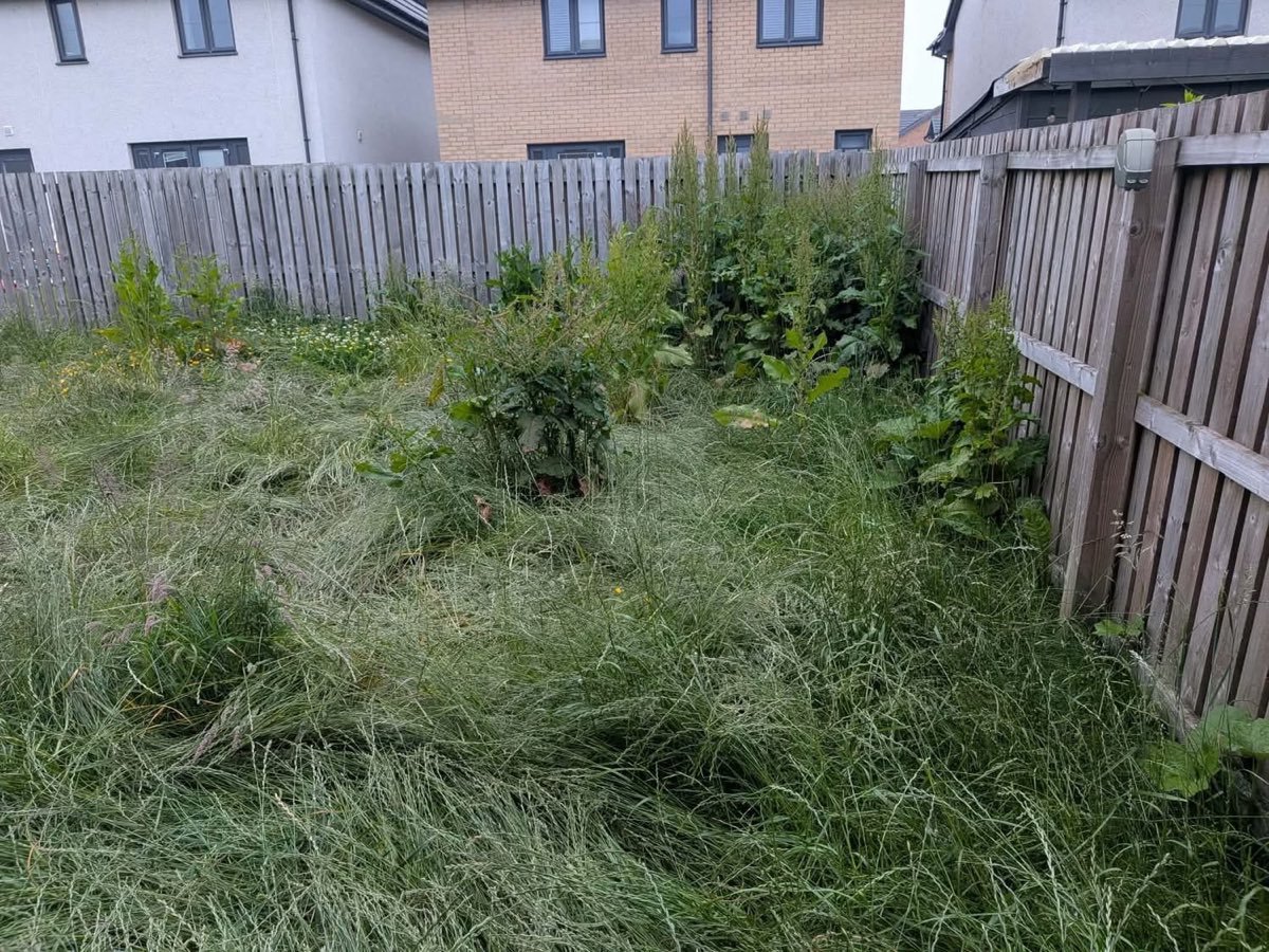 Overgrown Aberdeen back garden with waist high grass and weeds before SA Lawn and Grounds